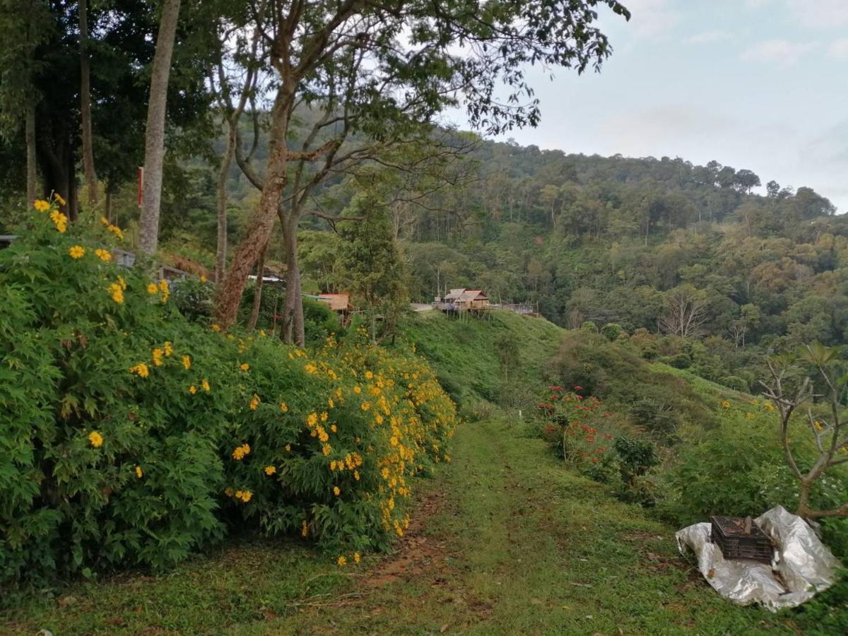 Ban Chomdoi Resort Phatang Ban Pha Tang ภายนอก รูปภาพ