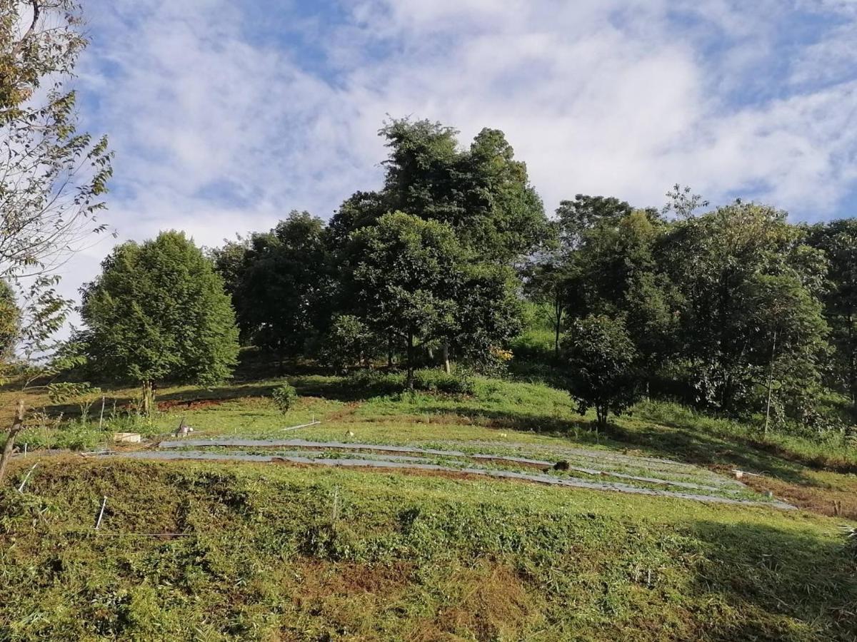 Ban Chomdoi Resort Phatang Ban Pha Tang ภายนอก รูปภาพ